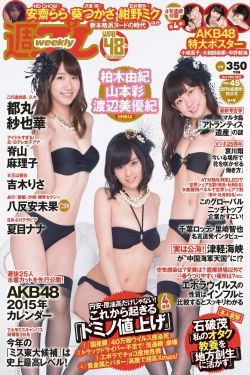 风流仕途小说