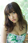 李宗瑞torrent